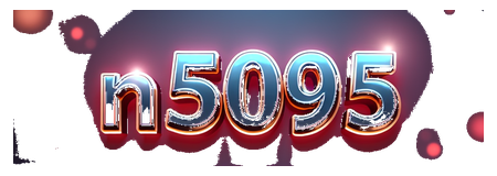 n5095 logo